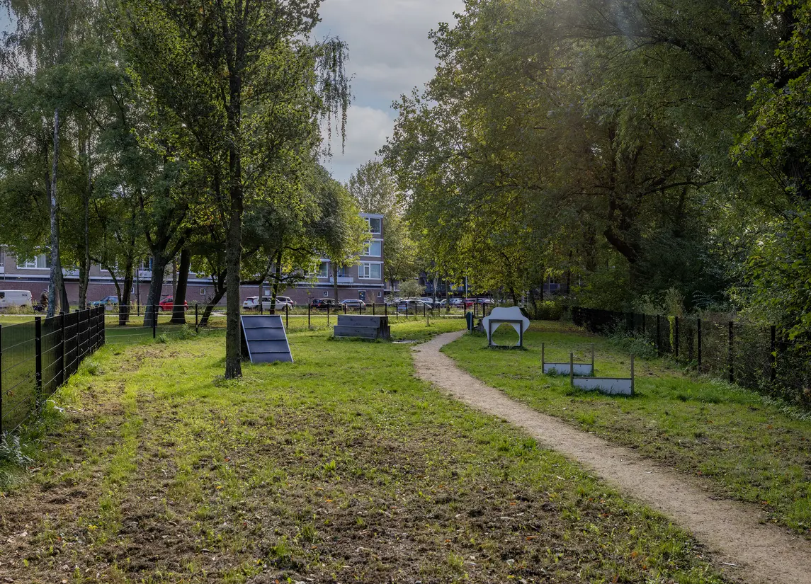 Griegplein 195