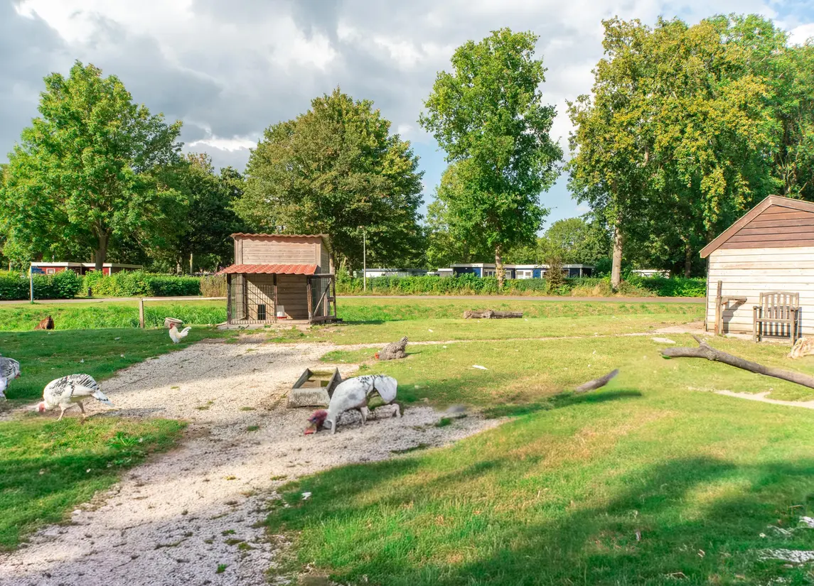 Proefpolder 138