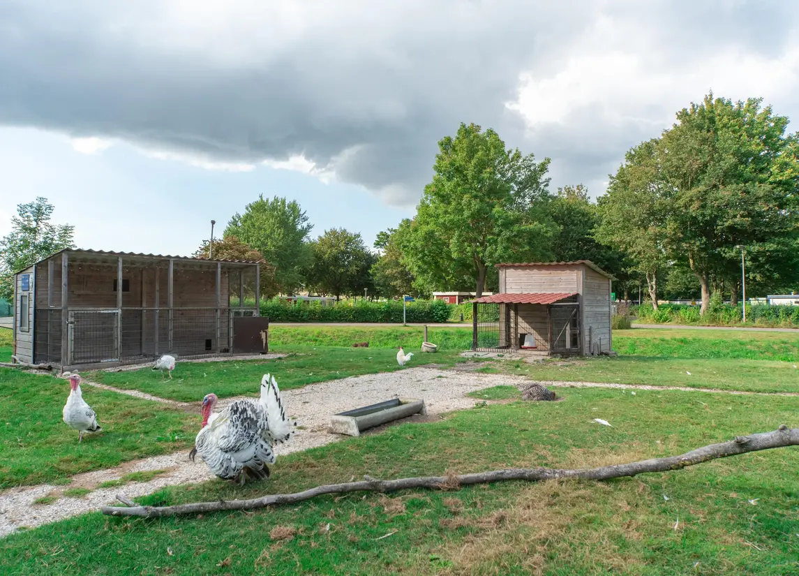Proefpolder 138