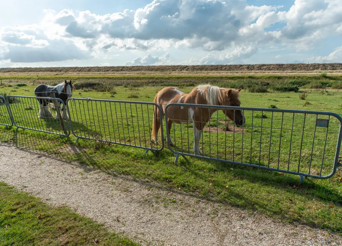 Proefpolder 138