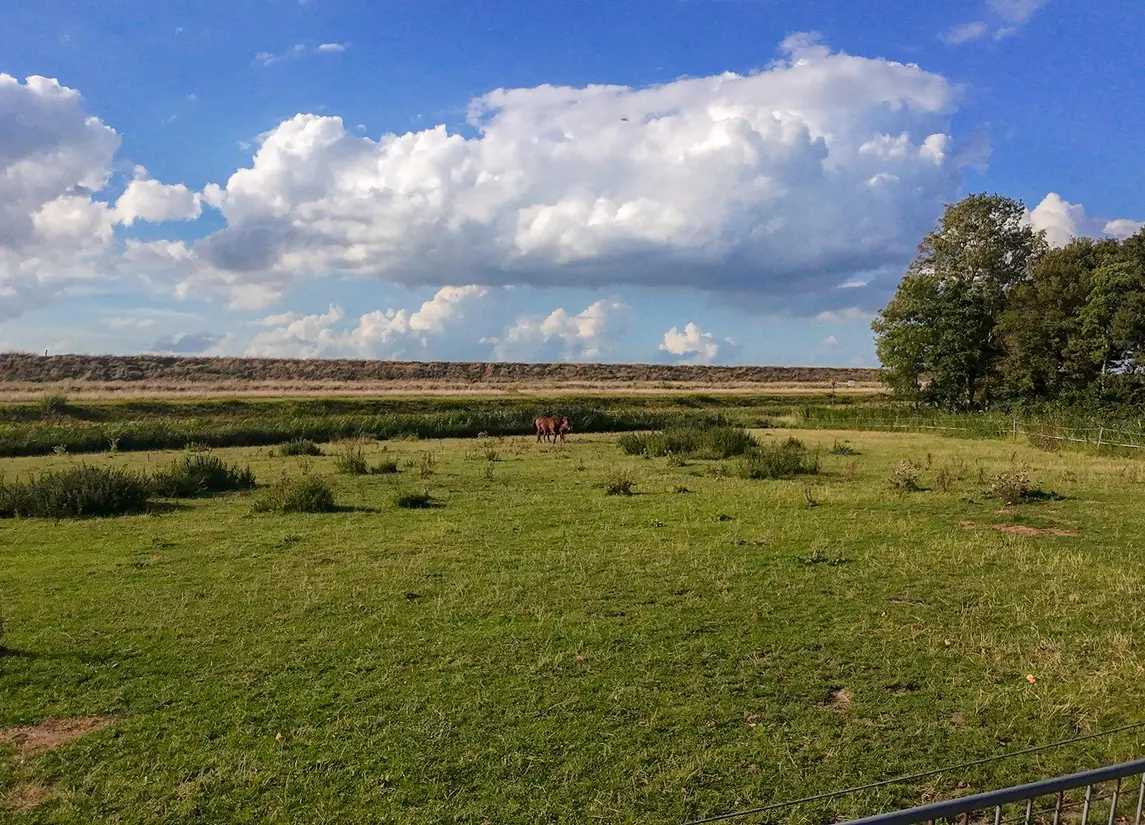 Proefpolder 138