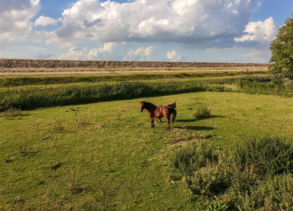 Proefpolder 138