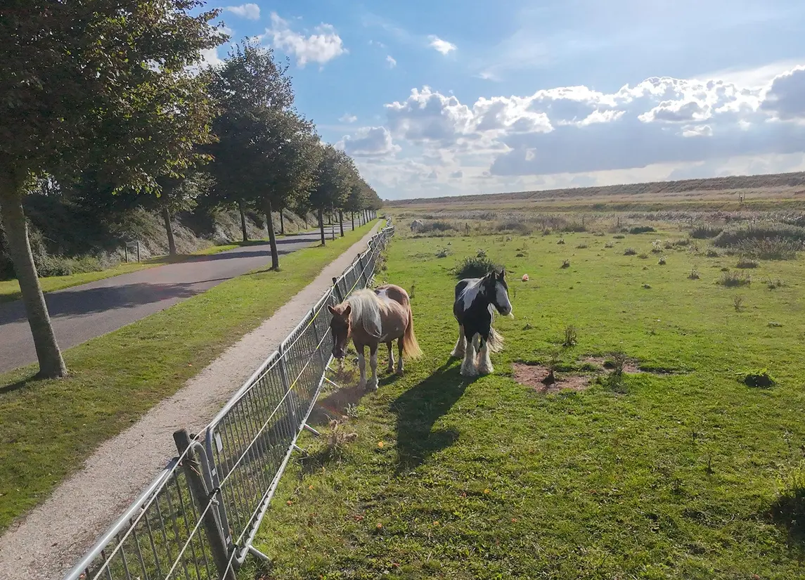 Proefpolder 138
