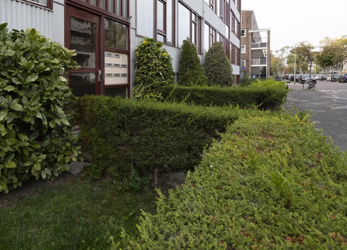 Van der Lelijstraat 11III