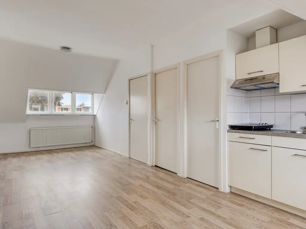 Merelstraat 7, Leiden