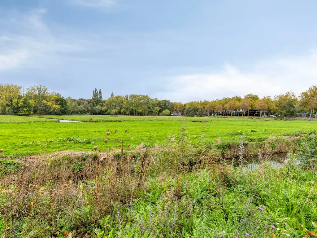 Merelstraat 7, Leiden
