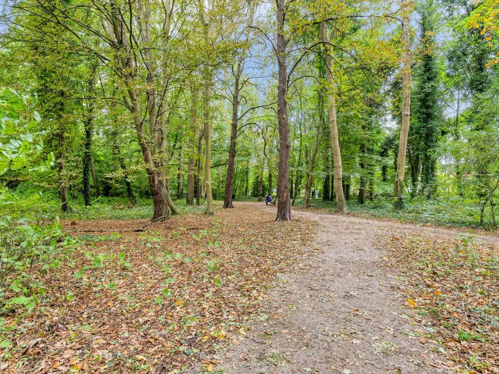 Merelstraat 7, Leiden