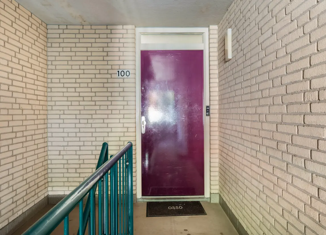 Ruivenplantsoen 100
