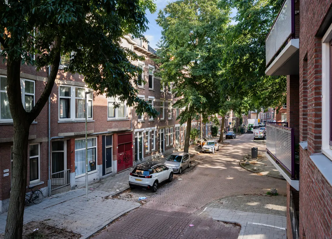 Ruivenplantsoen 100