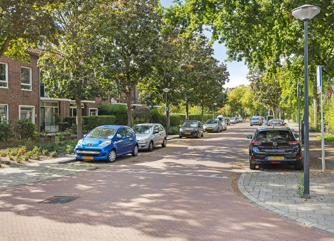 Roomburgerlaan 13