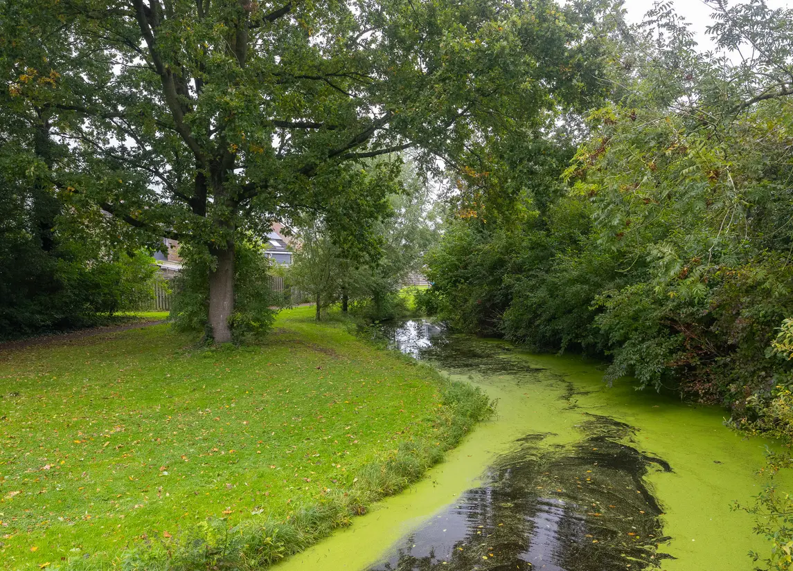 Kosterkring 18