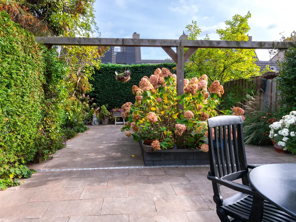 Lijn 20, HOOGVLIET ROTTERDAM