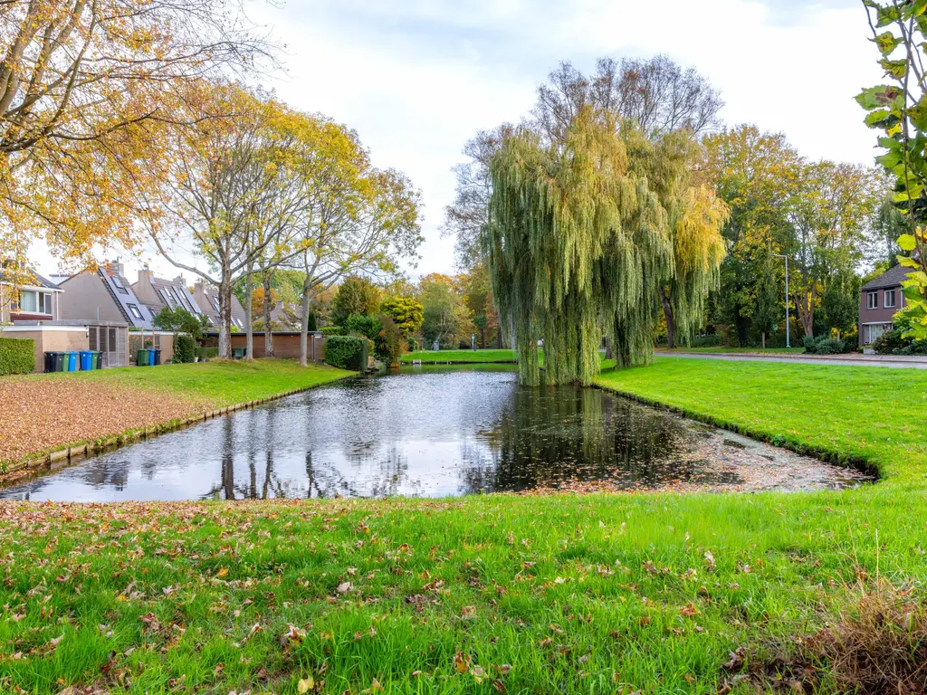 Lijn 20, HOOGVLIET ROTTERDAM