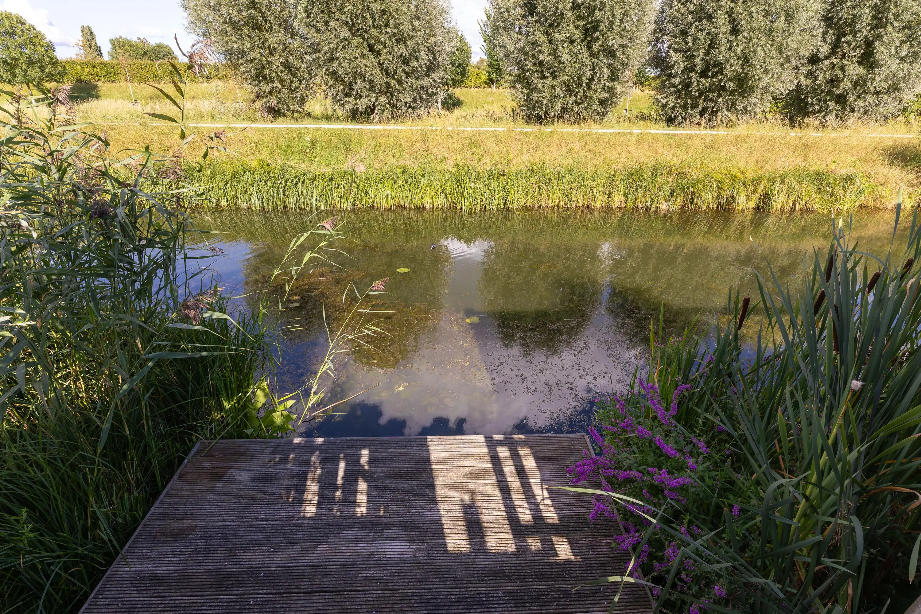 John Raedeckerhof 203