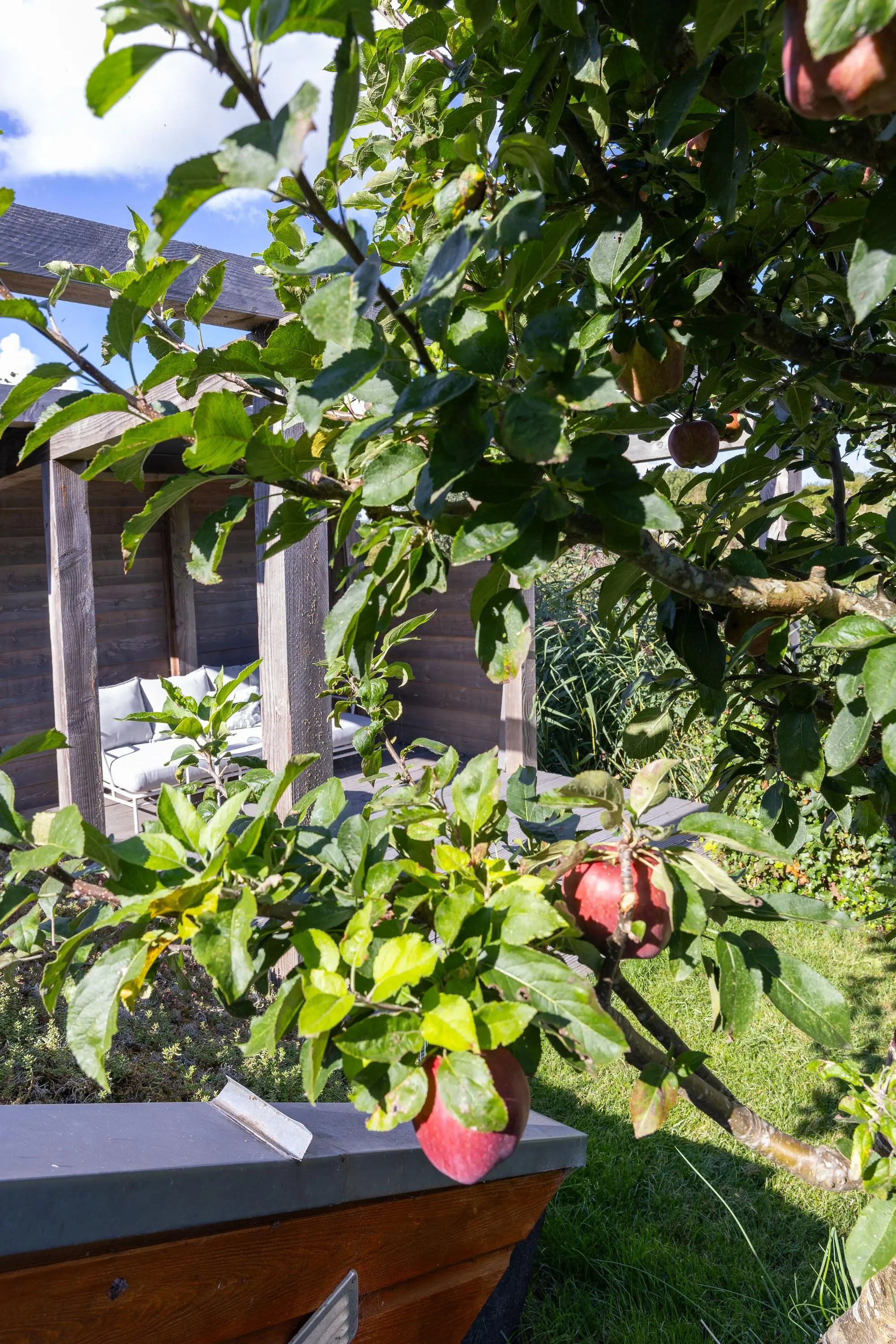 John Raedeckerhof 203