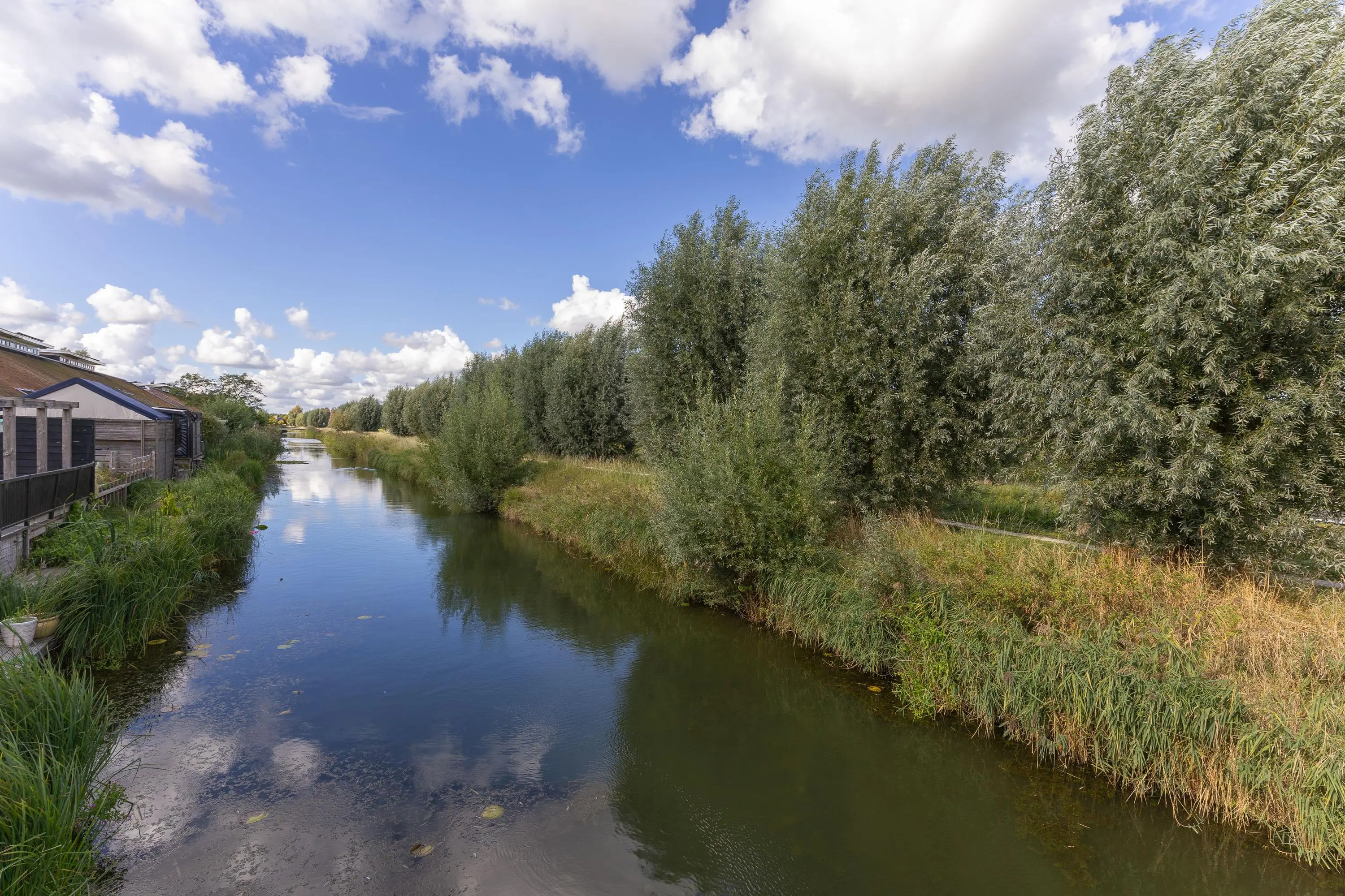 John Raedeckerhof 203