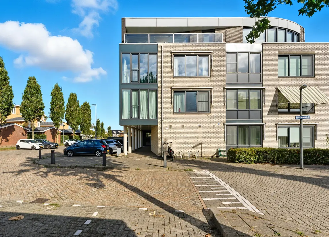 Lavendelveld 88