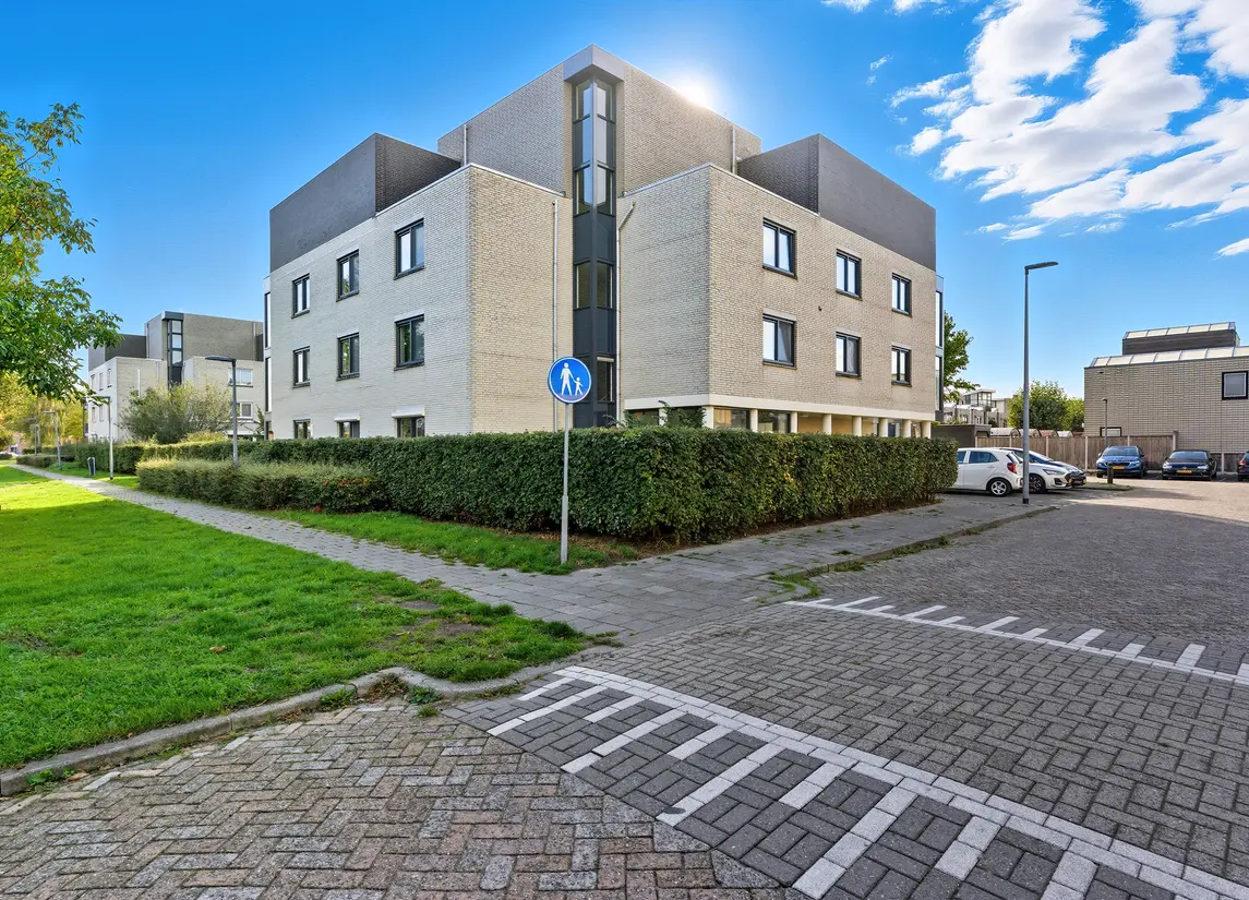 Lavendelveld 88
