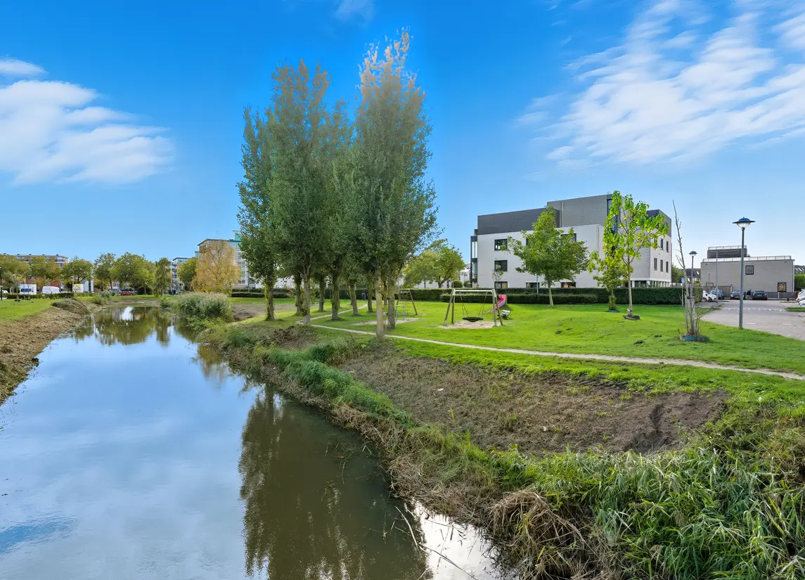 Lavendelveld 88