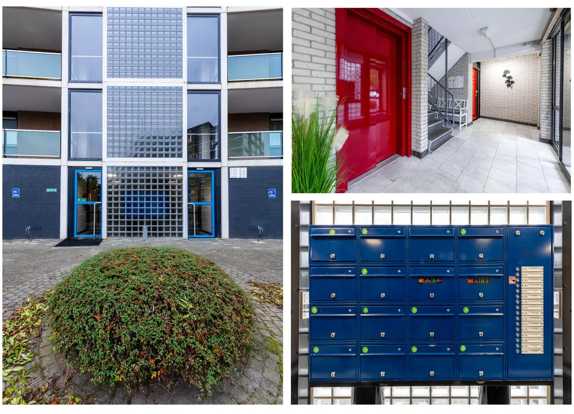 Van Leeuwenhoekstraat 48