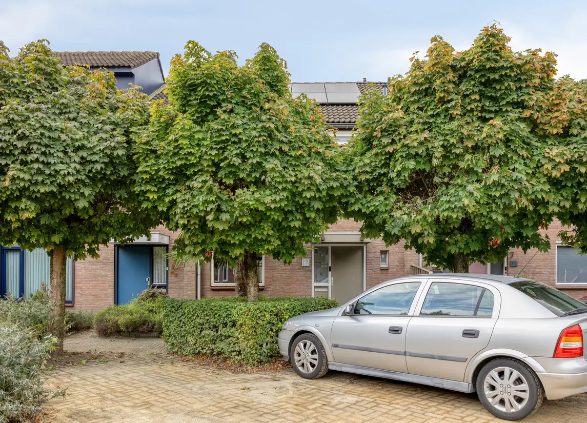Tongelreep 5