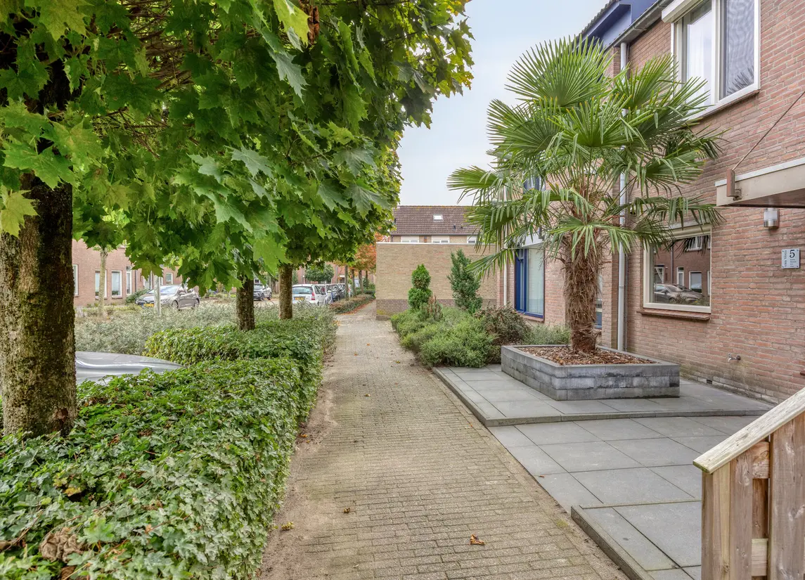 Tongelreep 5