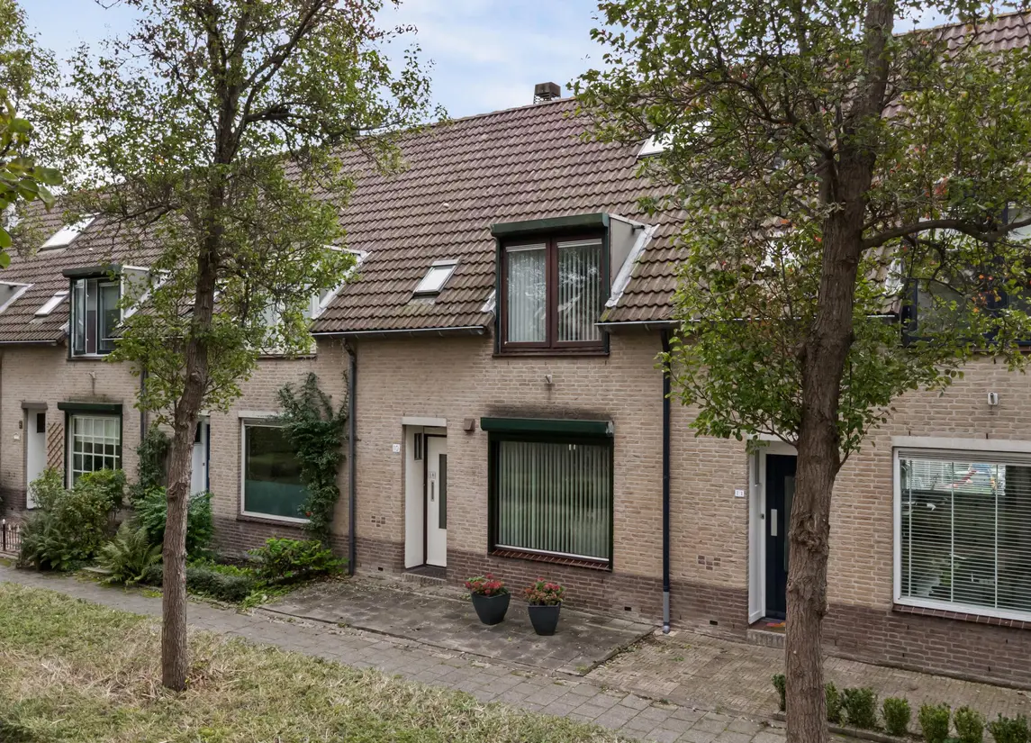 Van Pallandtvliet 10