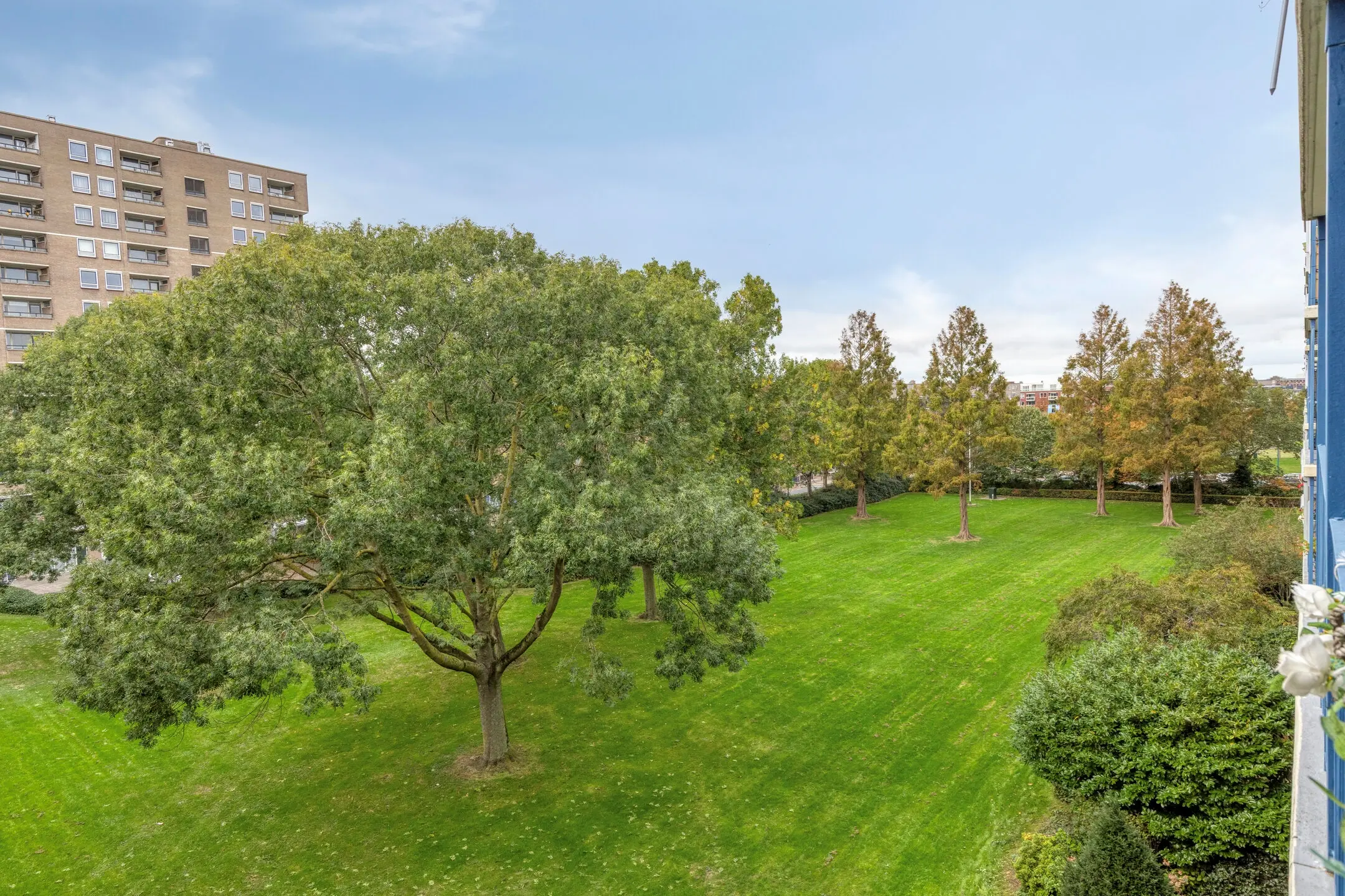 Aert van Neslaan 411