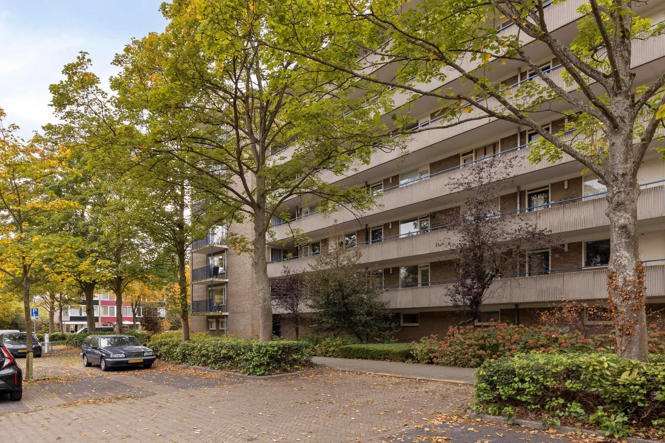 Aert van Neslaan 411