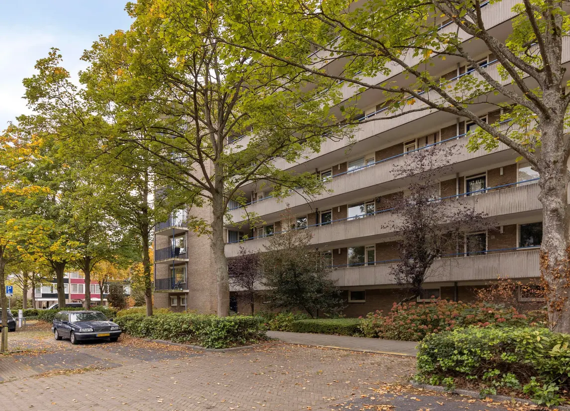 Aert van Neslaan 411