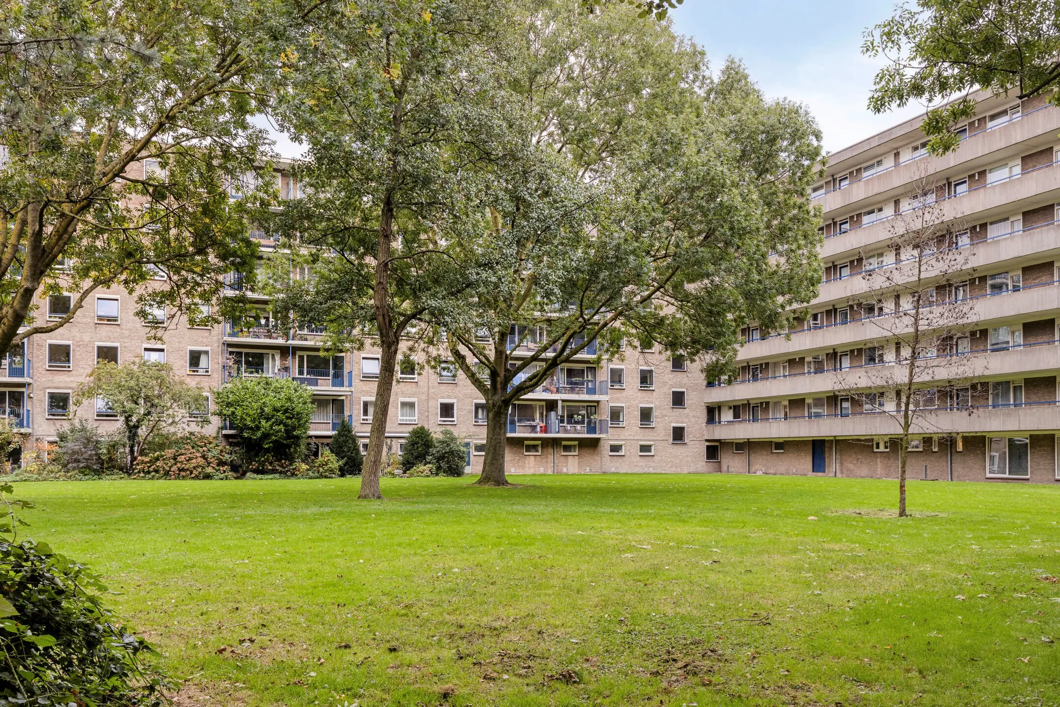 Aert van Neslaan 411