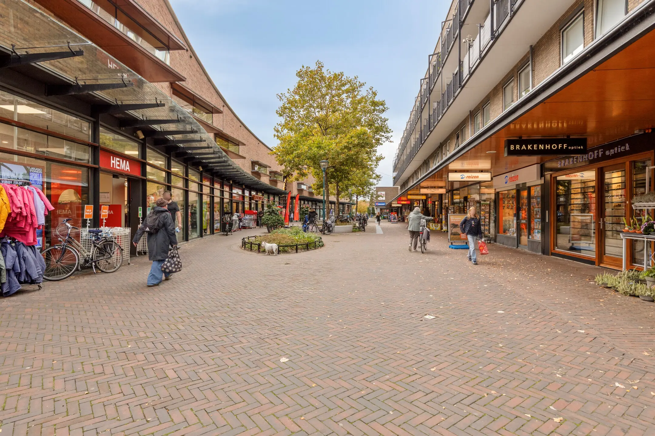 Aert van Neslaan 411