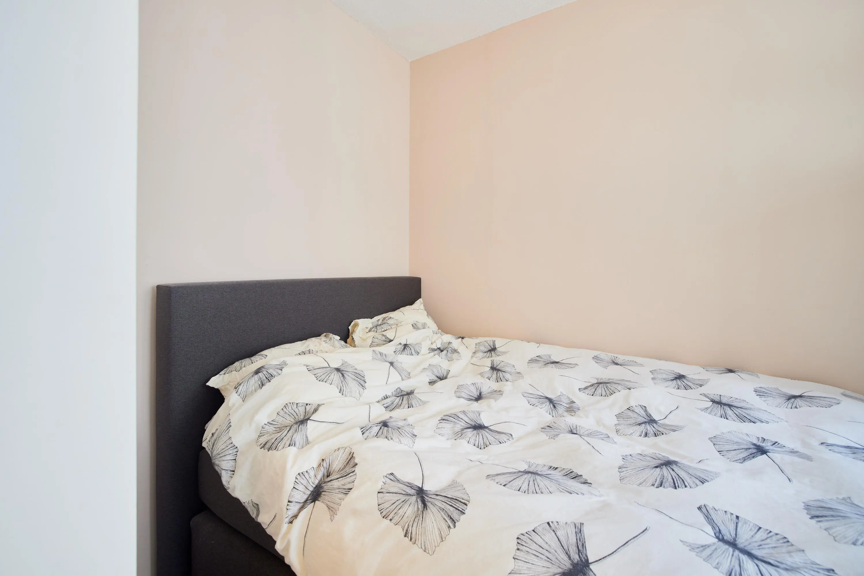 Jacob van Campenstraat 2D