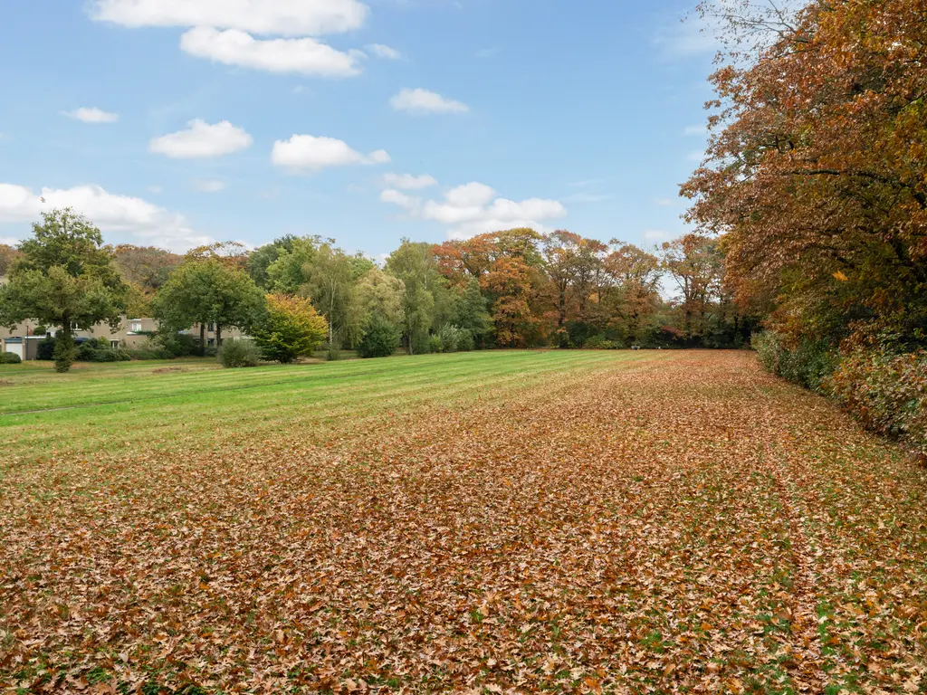 Bosstraat 51, DRIEBERGEN-RIJSENBURG