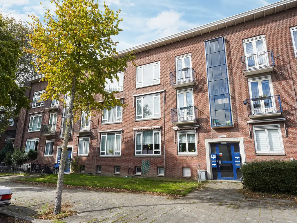 Roemer Visscherstraat 447, Den Haag