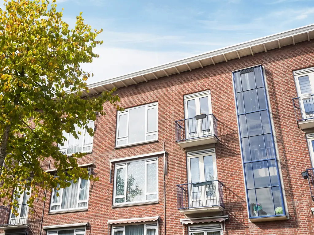 Roemer Visscherstraat 447, Den Haag