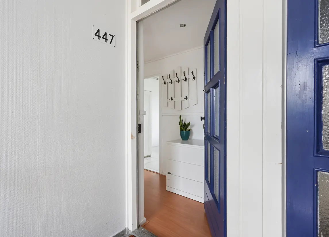 Roemer Visscherstraat 447