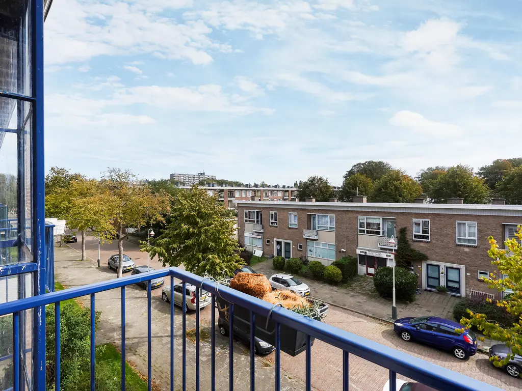 Roemer Visscherstraat 447, Den Haag