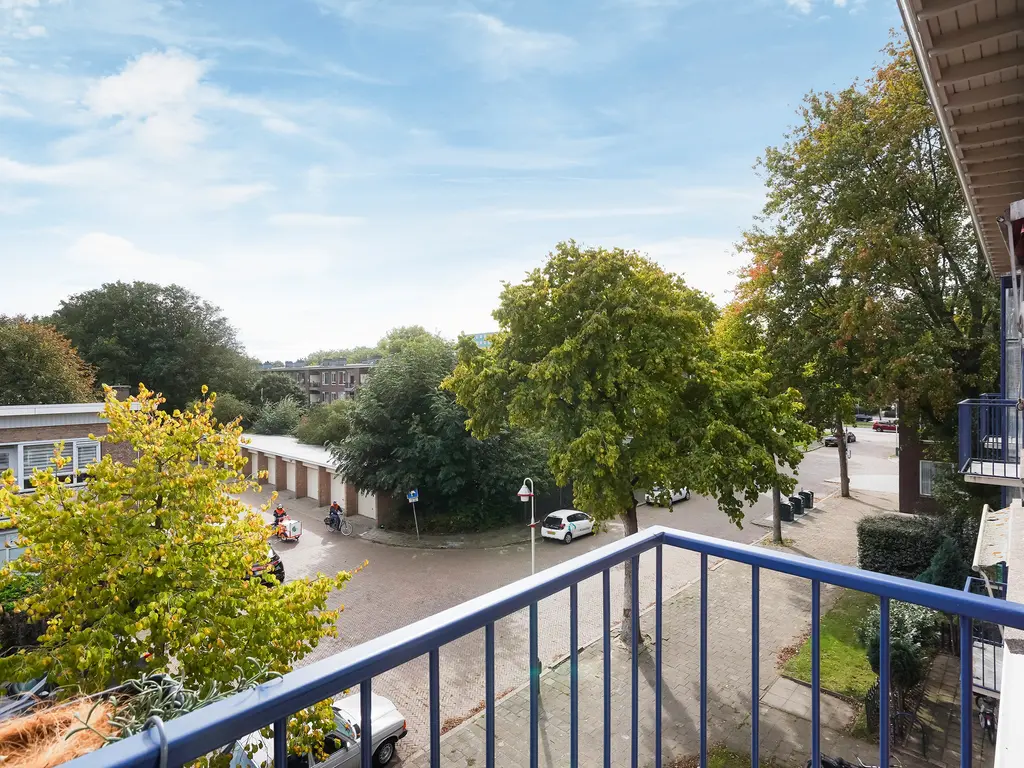 Roemer Visscherstraat 447, Den Haag