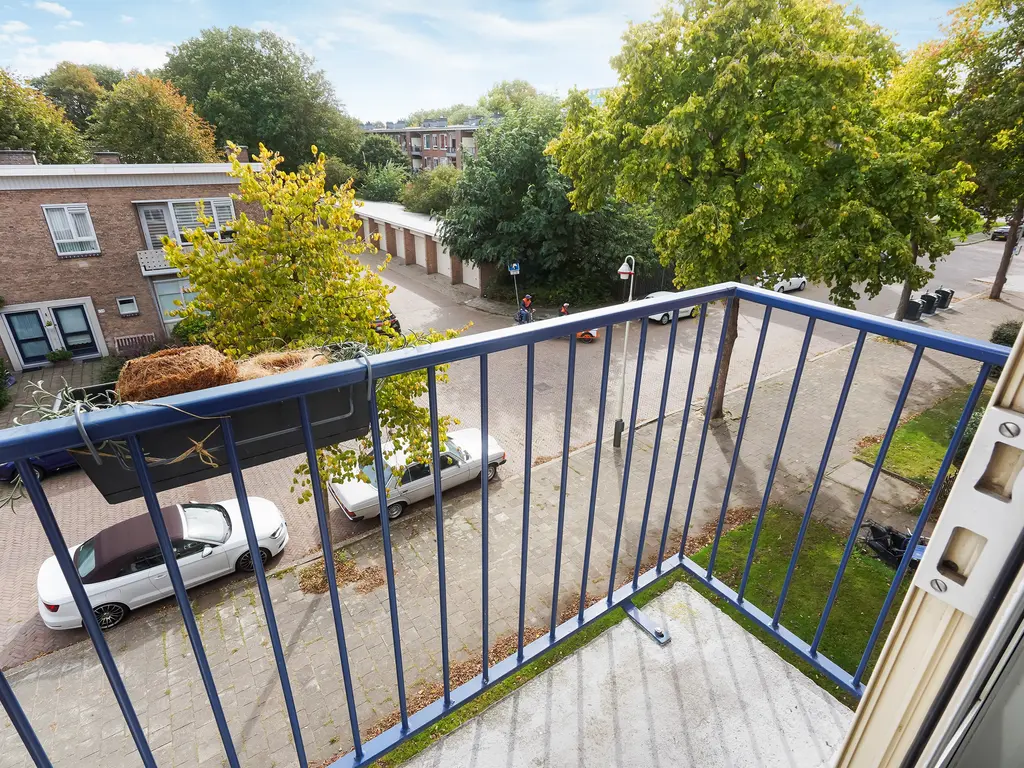 Roemer Visscherstraat 447, Den Haag