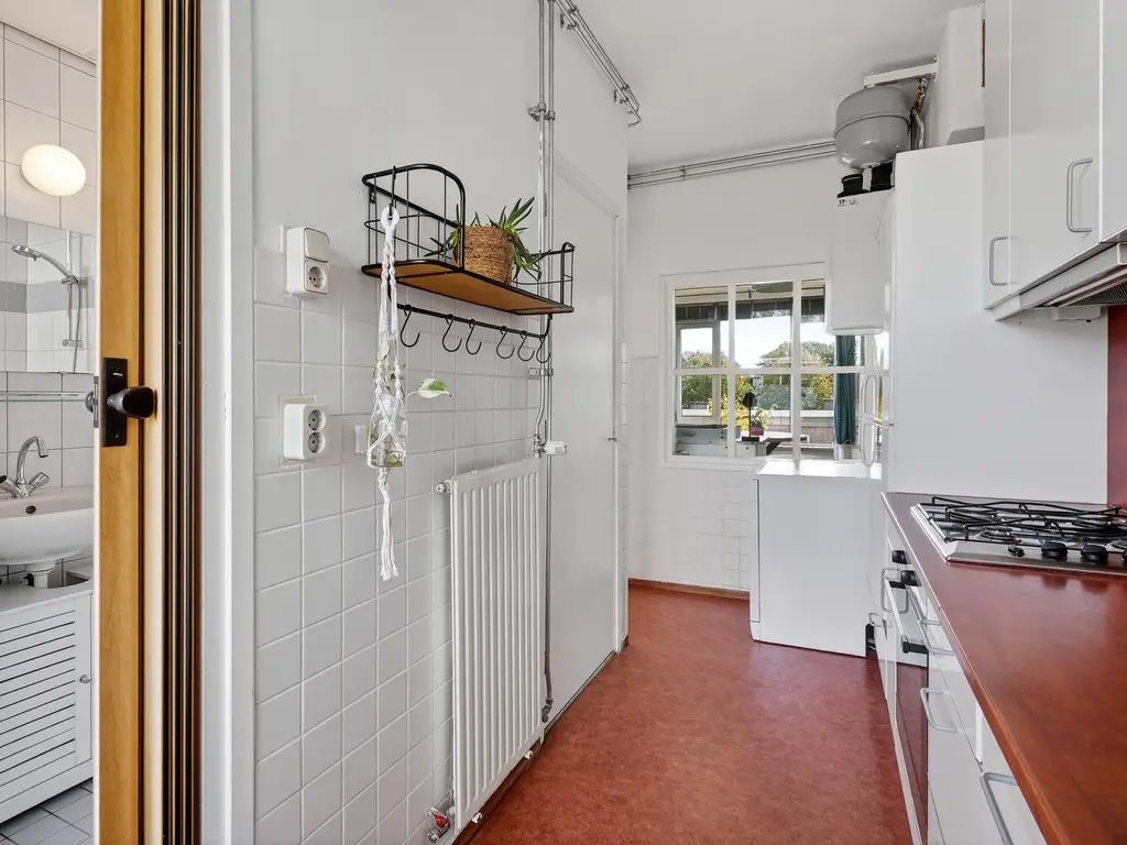 Roemer Visscherstraat 447, Den Haag