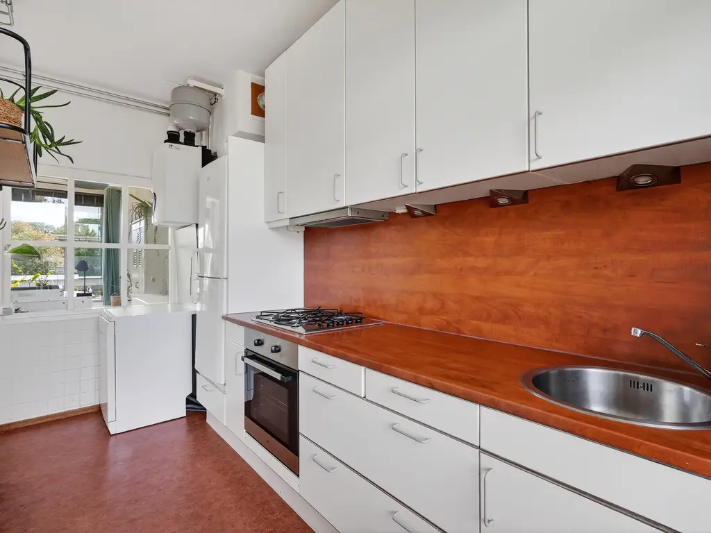 Roemer Visscherstraat 447, Den Haag