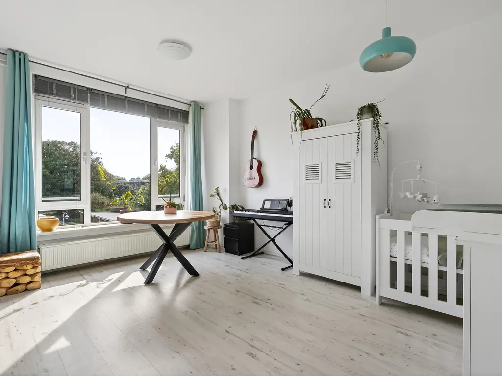 Roemer Visscherstraat 447, Den Haag