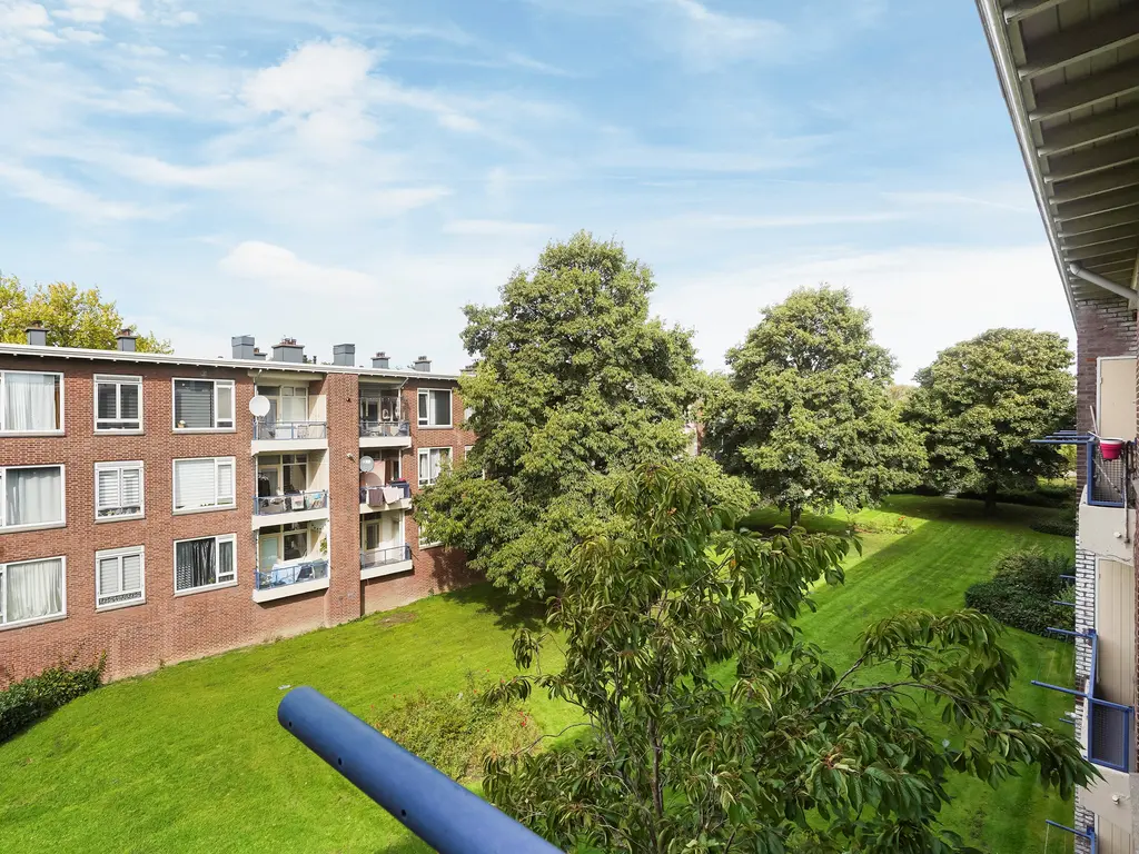 Roemer Visscherstraat 447, Den Haag