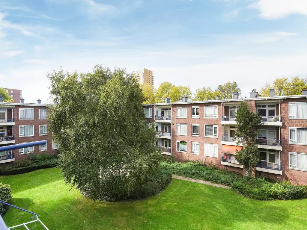 Roemer Visscherstraat 447, Den Haag