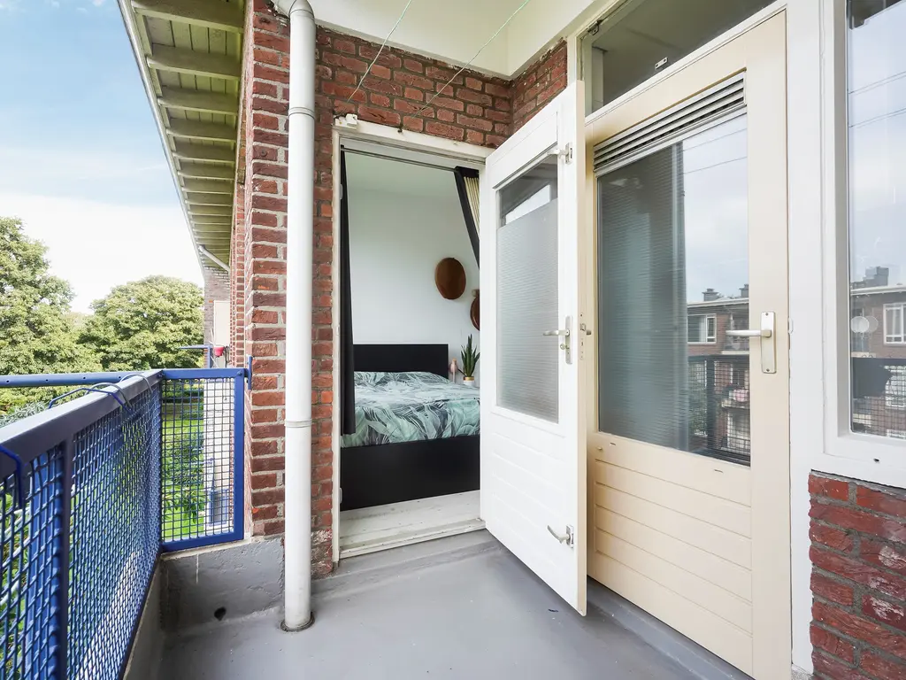 Roemer Visscherstraat 447, Den Haag