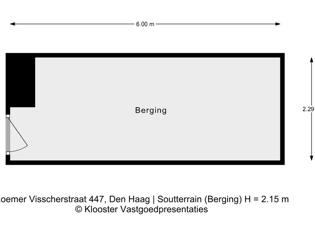 Roemer Visscherstraat 447, Den Haag
