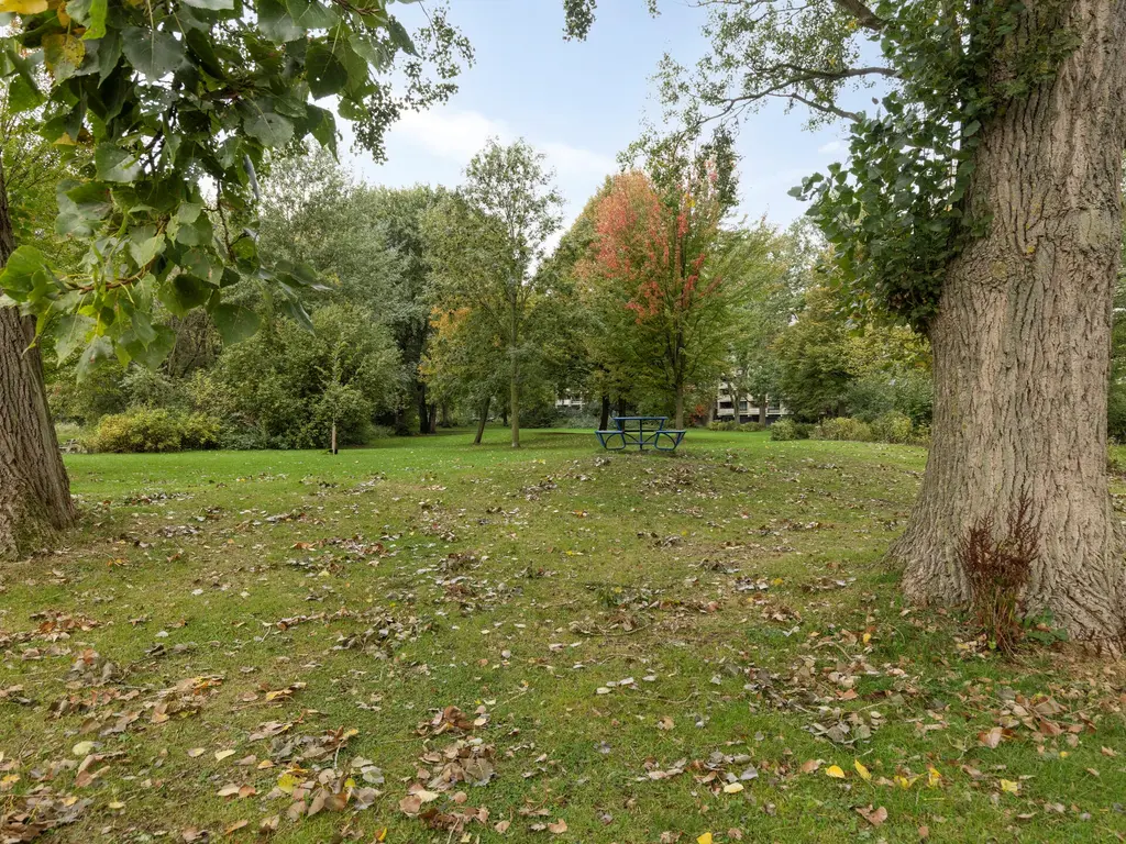 Roemer Visscherstraat 6A, Leiden
