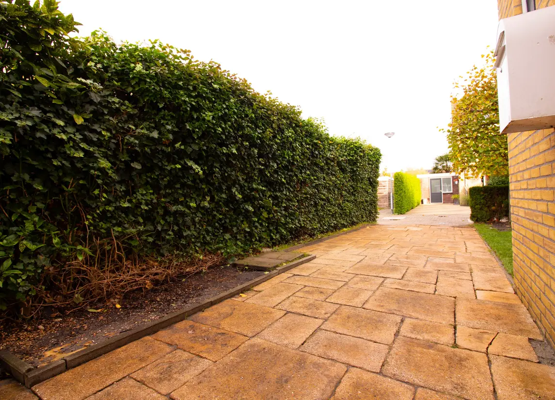 Hertog Albrechtstraat 24