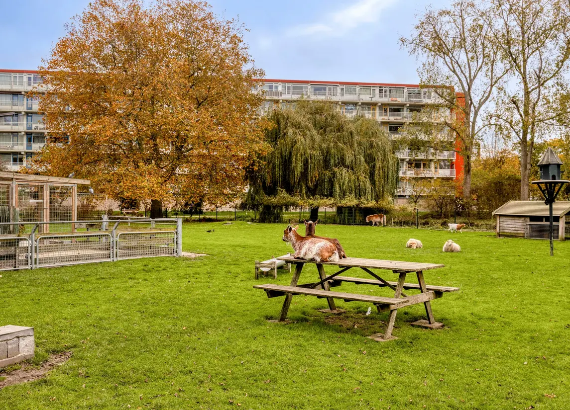 Glenn Millerstraat 7